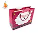 shopping luxury bag